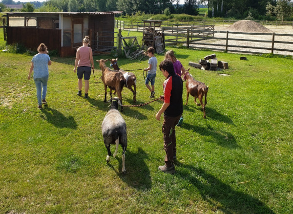 Paulihof-Unser Konzept